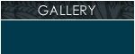 the gallery